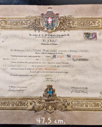Pergamena di Laurea 1937 Regia Università di Parma