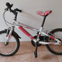 Bicicletta bambino con rotelle