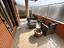 Immagine 23