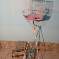 Gabbiette per uccellini