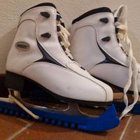 roches pattini ghiaccio 38