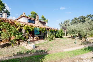 Villa rustica con vigna e uliveto