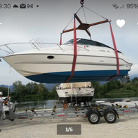 Sessa Oyster25