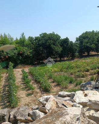 TER. AGRICOLO A CASSANO DELLE MURGE
