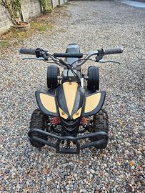 MINI QUAD 50CC