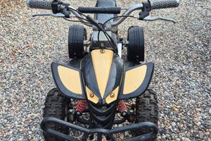 MINI QUAD 50CC