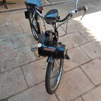 Solex 3800