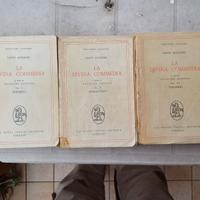 DANTE LA DIVINA COMMEDIA NATALINO  SAPEGNEO