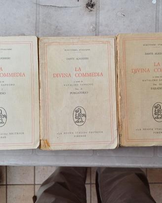 DANTE LA DIVINA COMMEDIA NATALINO  SAPEGNEO