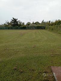Terreno agricolo 