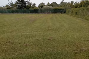 Terreno agricolo 