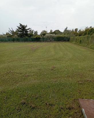 Terreno agricolo 