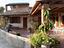 Immagine 12
