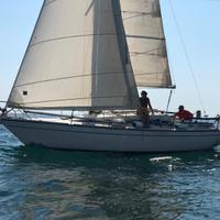Barca a vela comet 301