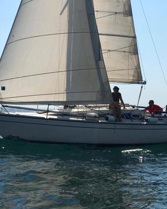 Barca a vela comet 301