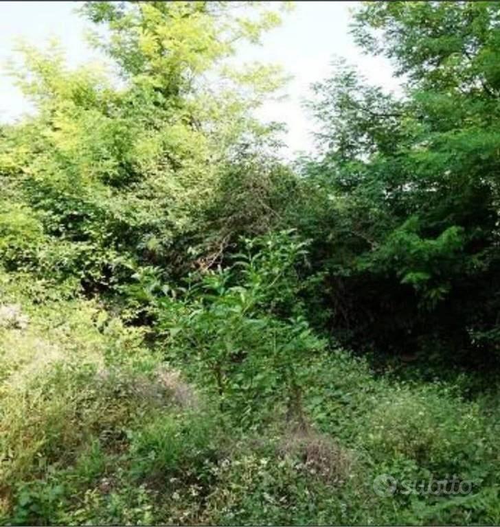 Immobile in asta di 40247 m² a Sovizzo - Vista 4