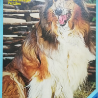 Puzzle Ravensburger 2x126 Cane e Cavallo