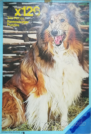 Puzzle Ravensburger 2x126 Cane e Cavallo