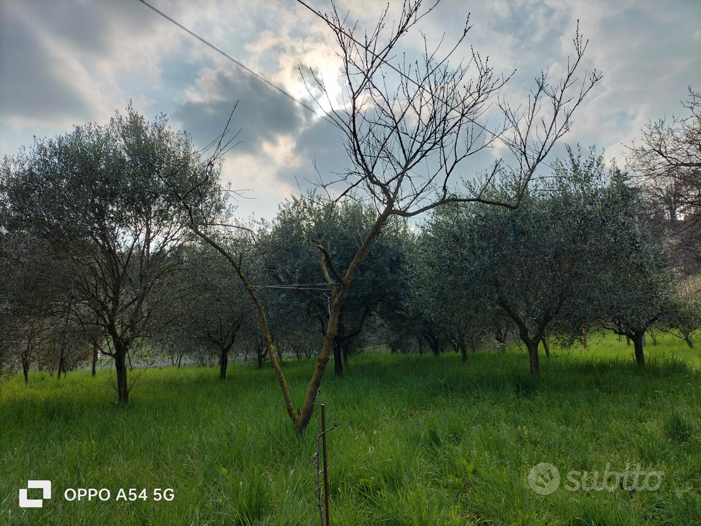 Porzione di rustico con terreno di pertinenza - Vista 2