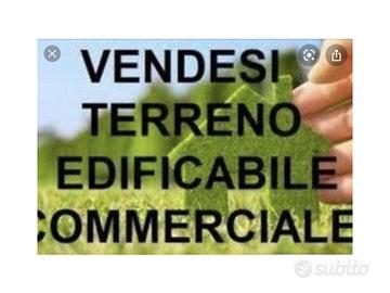 Terreno artigianale/commerciale 1 ettaro