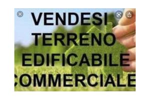 Terreno artigianale/commerciale 1 ettaro