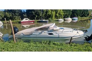 Raniero sea lady 23 limite editio