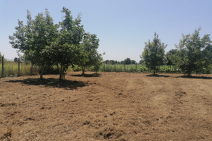 Per chi fosse interessato mi contatti