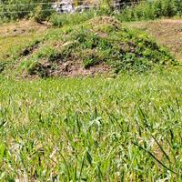 terra per giardino orti