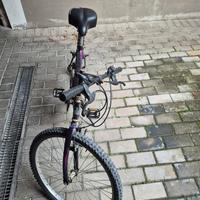 bici  bike