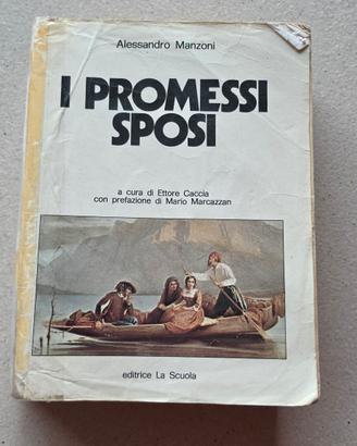 i promessi sposi di Alessandro Manzoni