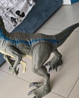 Dinosauro velociraptor blue jurassic word 