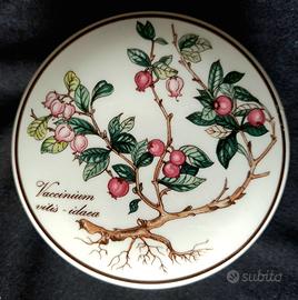 Botanica Villeroy & Boch Vaccinium Luxembourg V&B