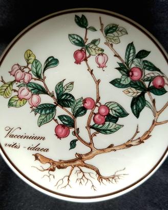 Botanica Villeroy & Boch Vaccinium Luxembourg V&B