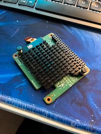 Hailo 10 raspberry pi5
