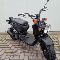 Honda Zoomer 50