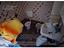 Immagine 29