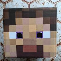 costume Minecraft