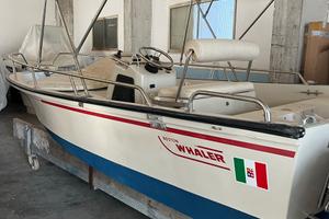 Boston Whaler 15
