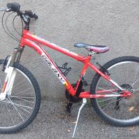 BICICLETTE AMMORTIZZATE RUOTE 24 POLLICI 