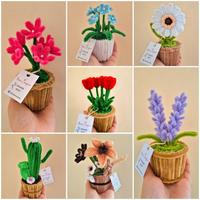 Composizioni in ciniglia 🌸