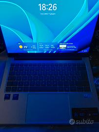 Acer portatile 
