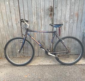 Bicicletta