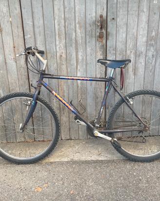 Bicicletta