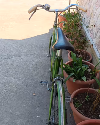 Bici per amatori