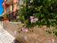Immagine 17