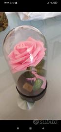 Rosa sotto campana di vetro
