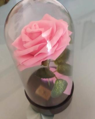 Rosa sotto campana di vetro