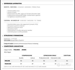 Barista/Babysitter/Receptionist