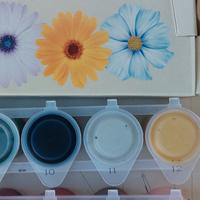 set colori acrilici 12 pz