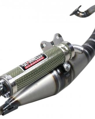 Scarico per Malaguti F12 Giannelli Reverse 31612E
